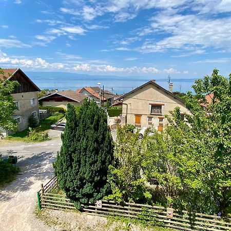 Ferienwohnung Maison Familiale Vue Lac Avec Jardin - A 10Mn Du Lac Et Stations De Ski Publier Exterior foto